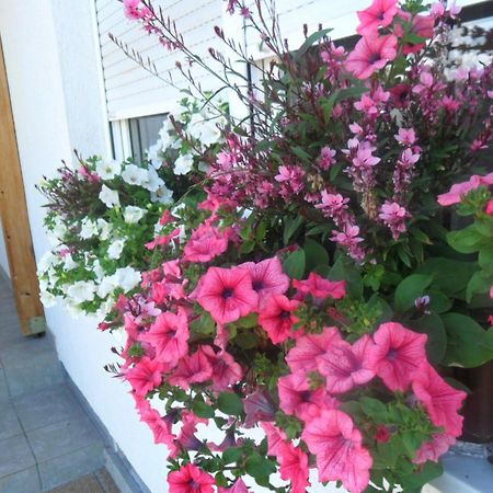 Guesthouse Sara Grabovac  Luaran gambar