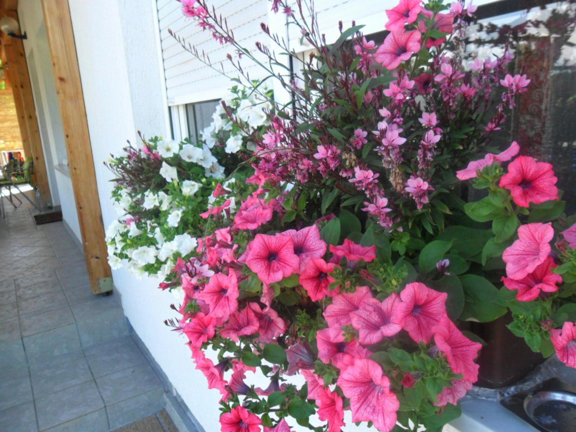 Guesthouse Sara Grabovac  Luaran gambar