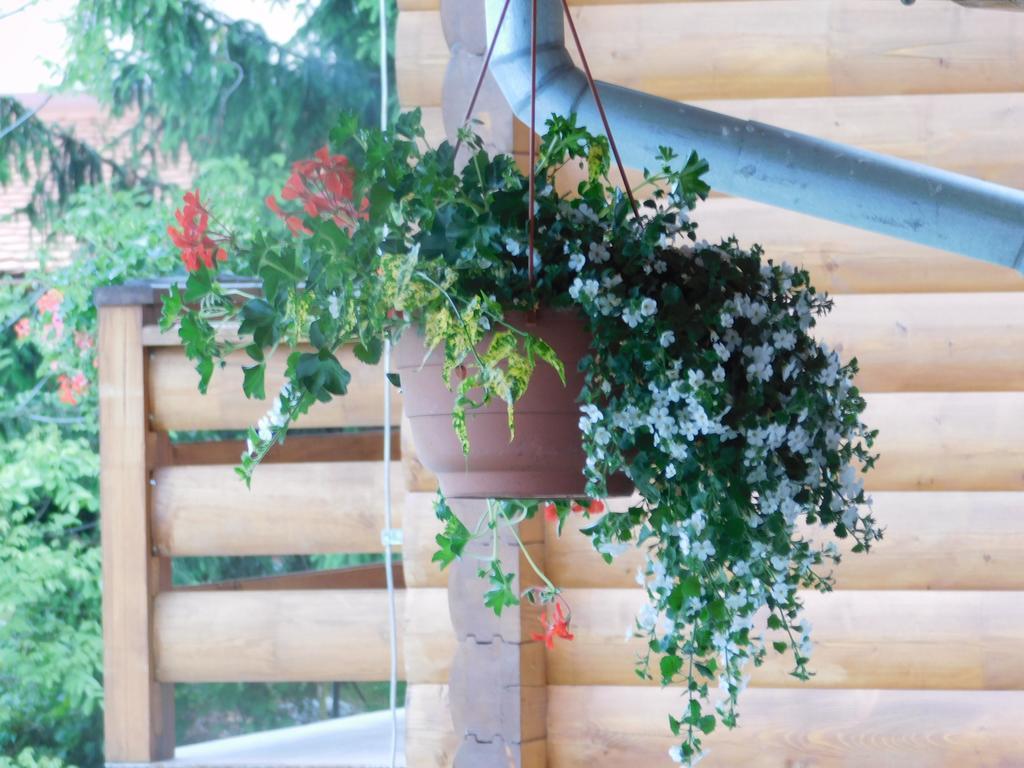 Guesthouse Sara Grabovac  Luaran gambar
