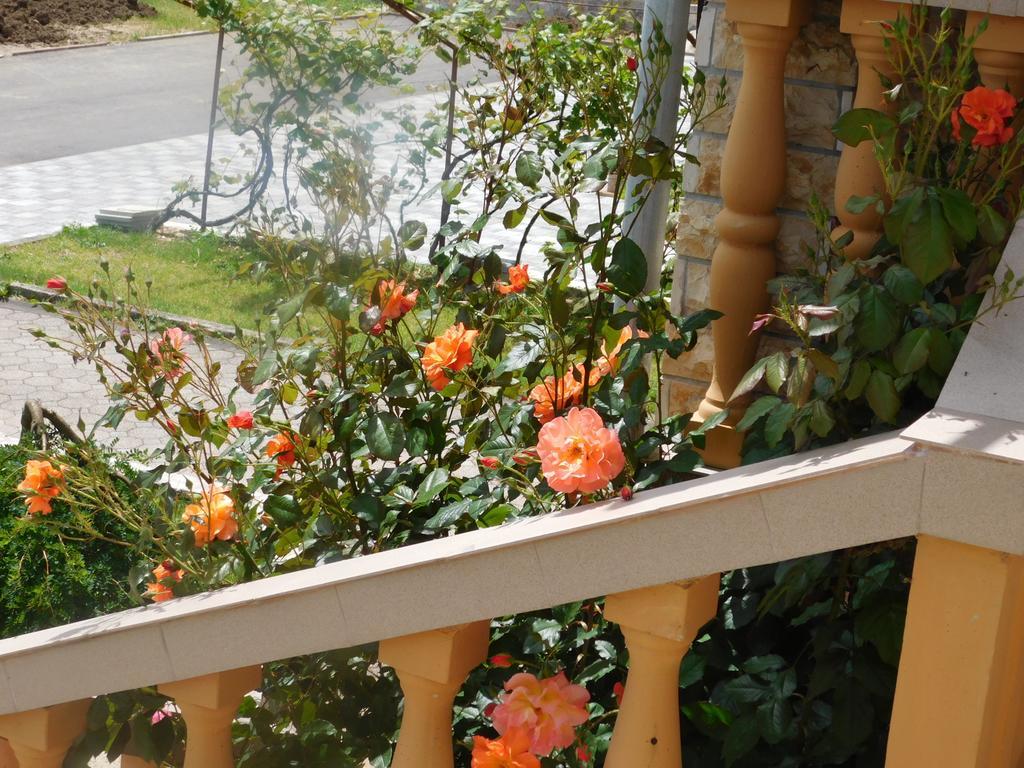 Guesthouse Sara Grabovac  Luaran gambar