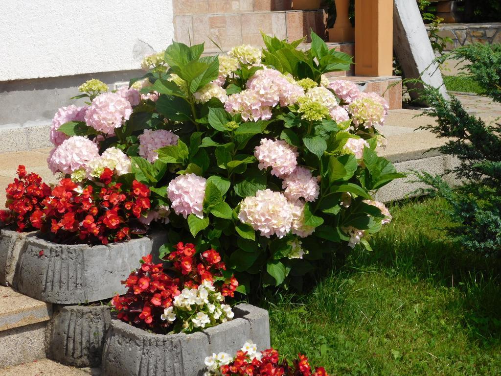 Guesthouse Sara Grabovac  Luaran gambar